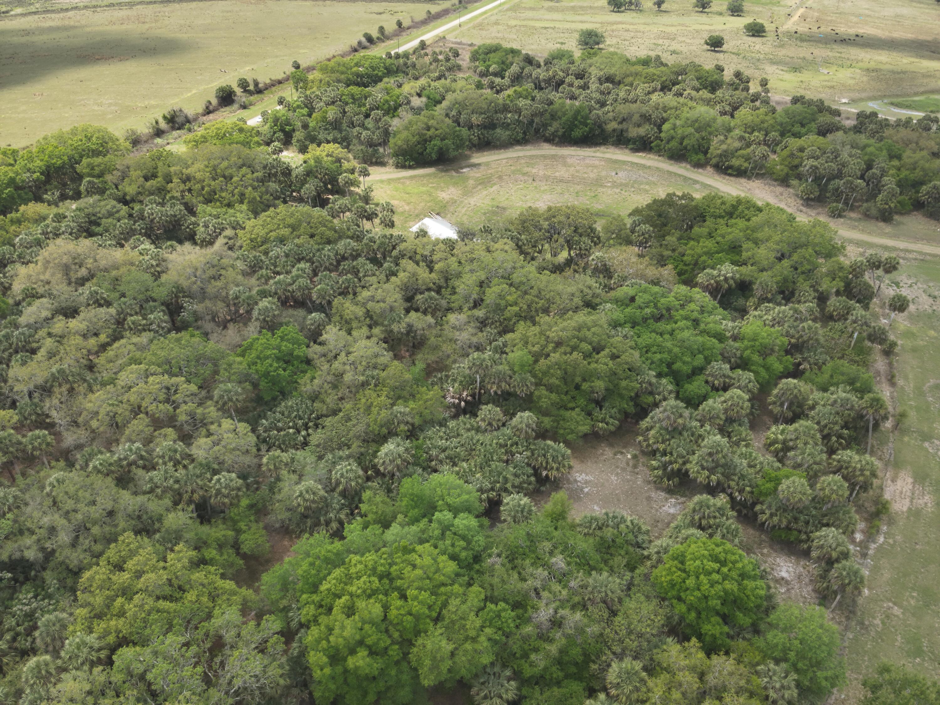 1002 Bankers Road Lorida, FL 33857 - Photo 5 of 12 DJI_20260326132952_0005_V