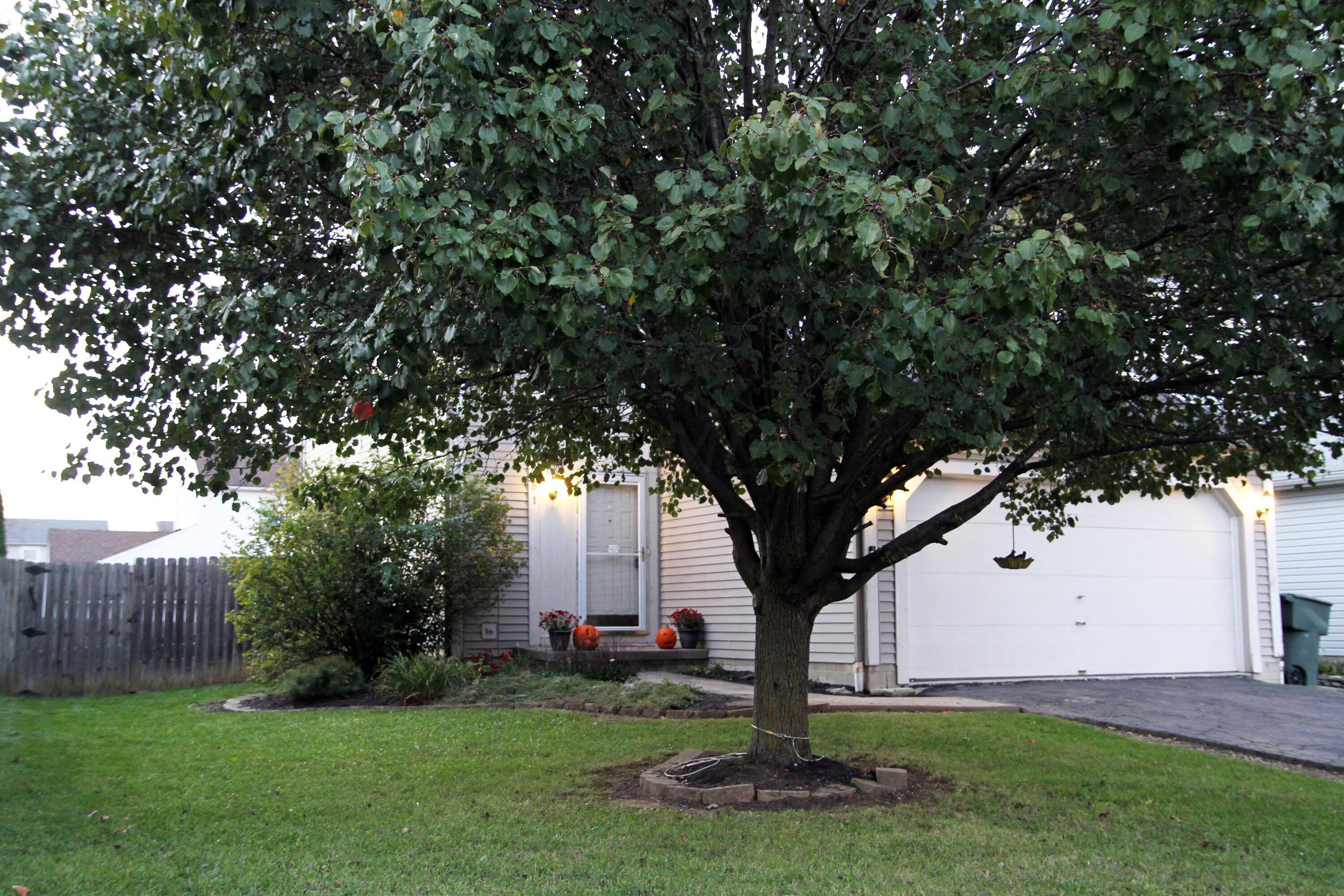 881 Riggsby Road Galloway, OH 43119 - Photo 2 of 16 Gallery Image 2
