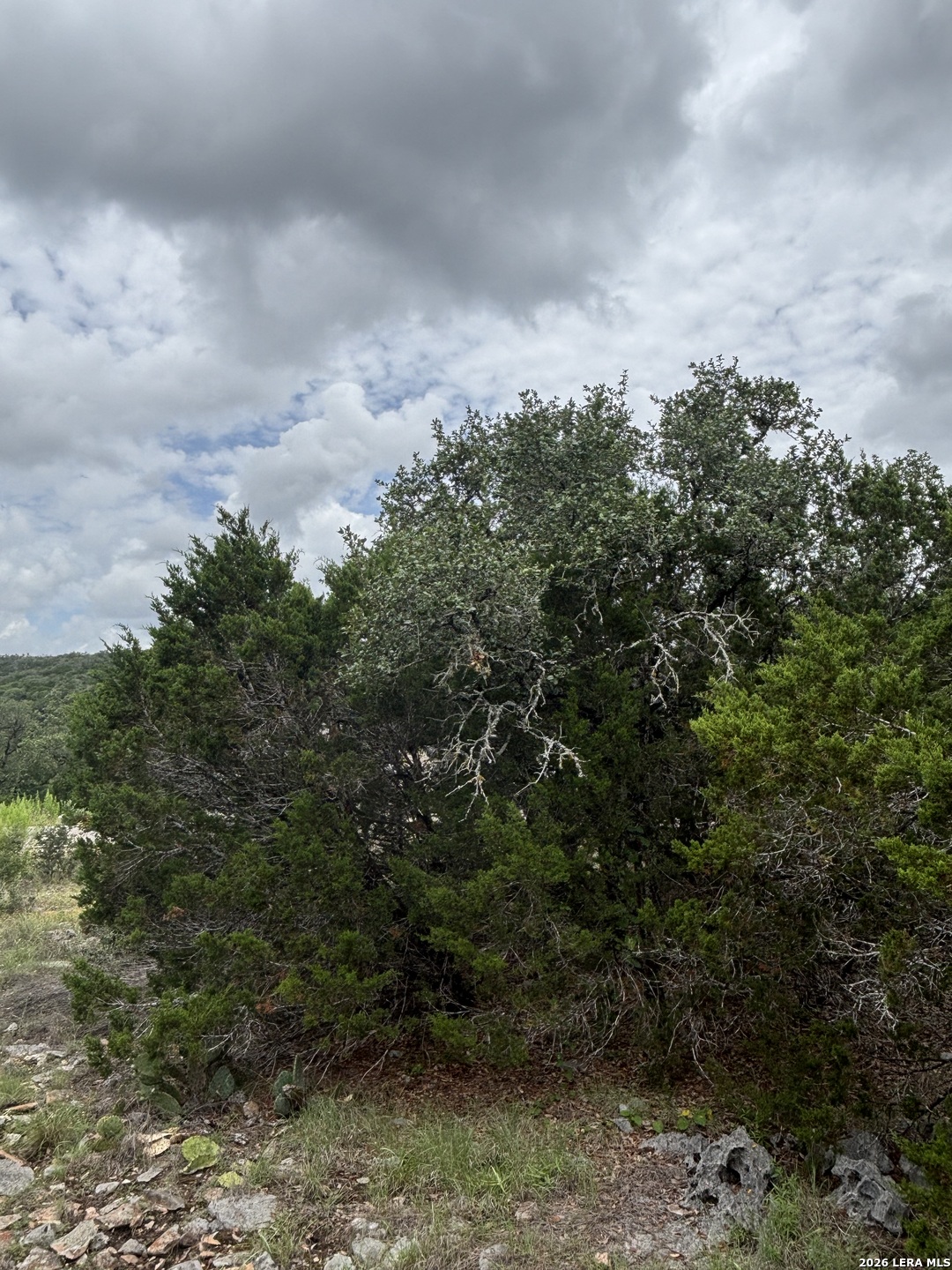 1328 Powder Ridge New Braunfels, TX 78132 - Photo 6 of 16