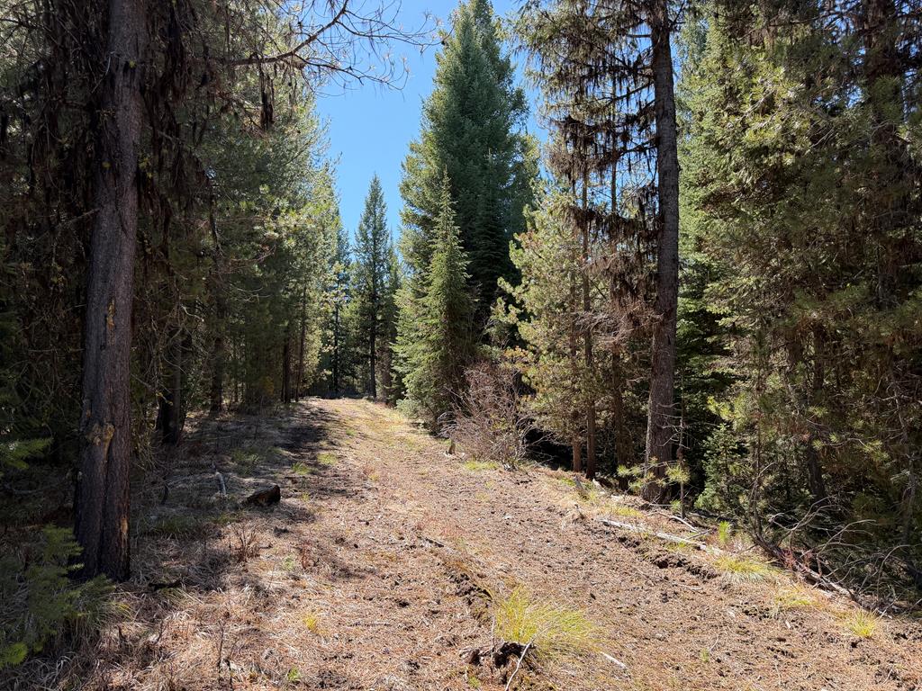19 Dakota Way Cascade, ID 83611 - Photo 22 of 22