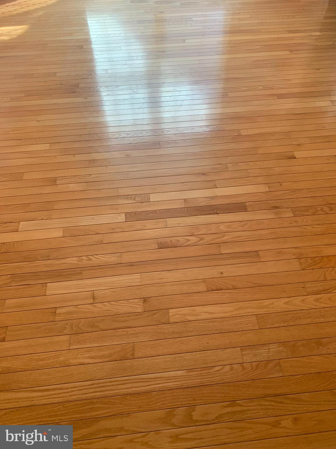 3104 Needleleaf Lane Springdale, MD 20721 - Photo 4 of 40 Hardwood Floors