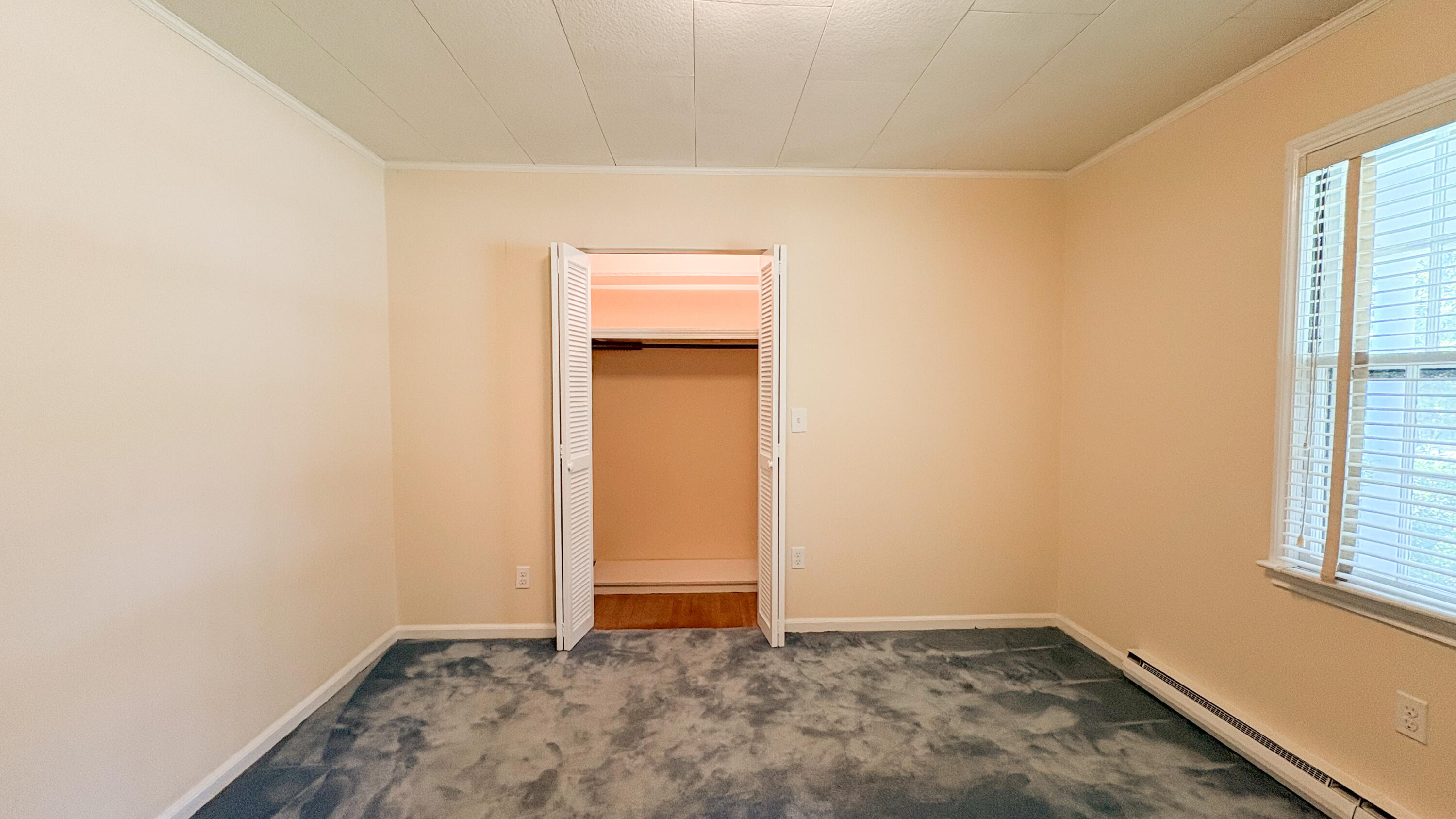 208 George Street Walterboro, SC 29488 - Photo 24 of 29 IMG_4002