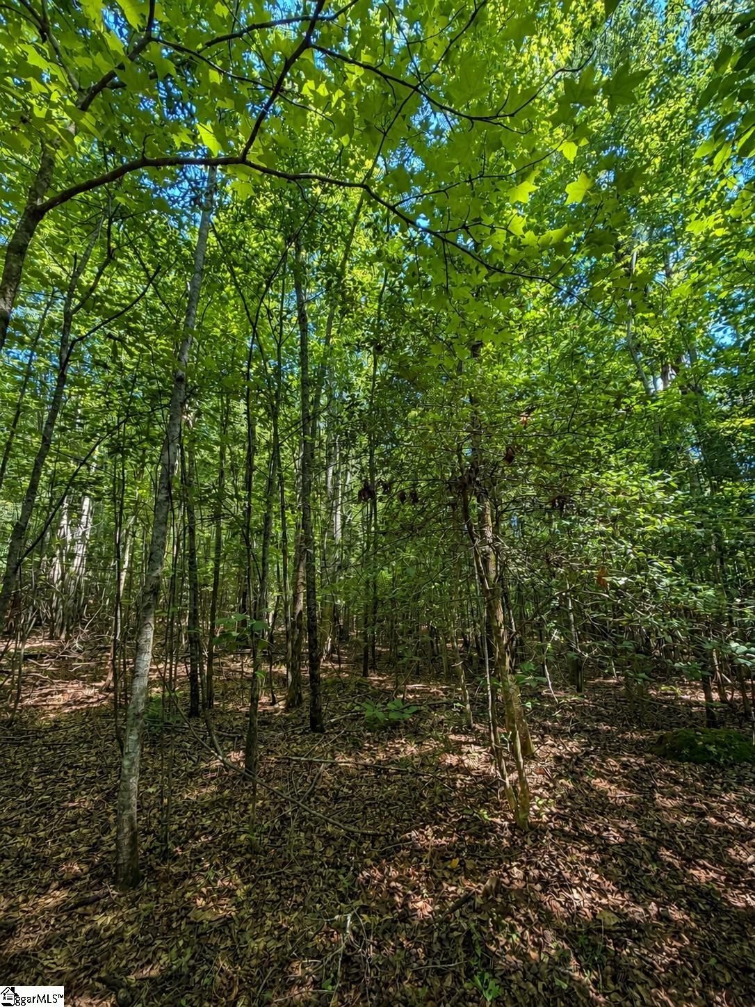 3 Circle Road Easley, SC 29642 - Photo 7 of 7 Gallery Image 7