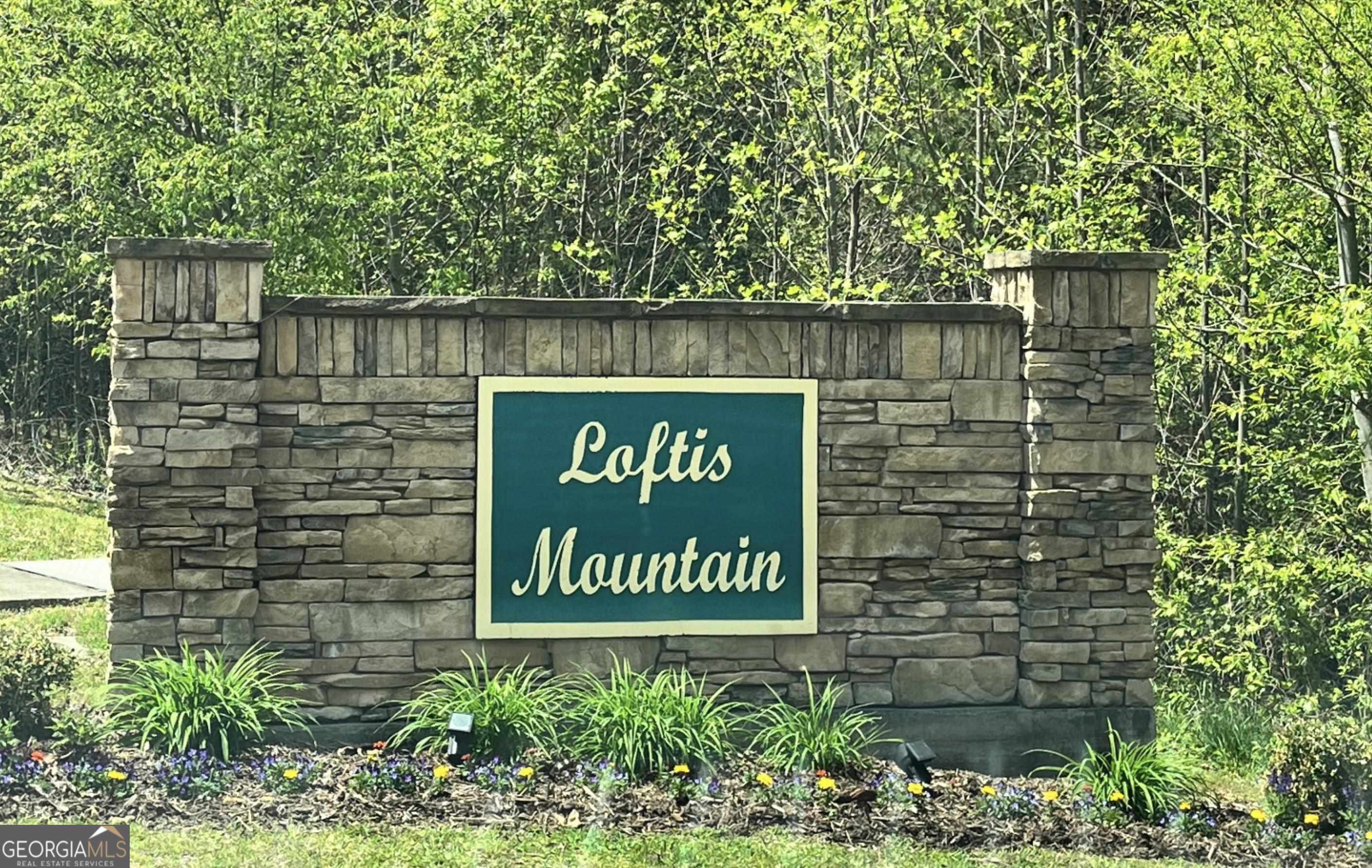 29-30 Loftis Mountain Way  