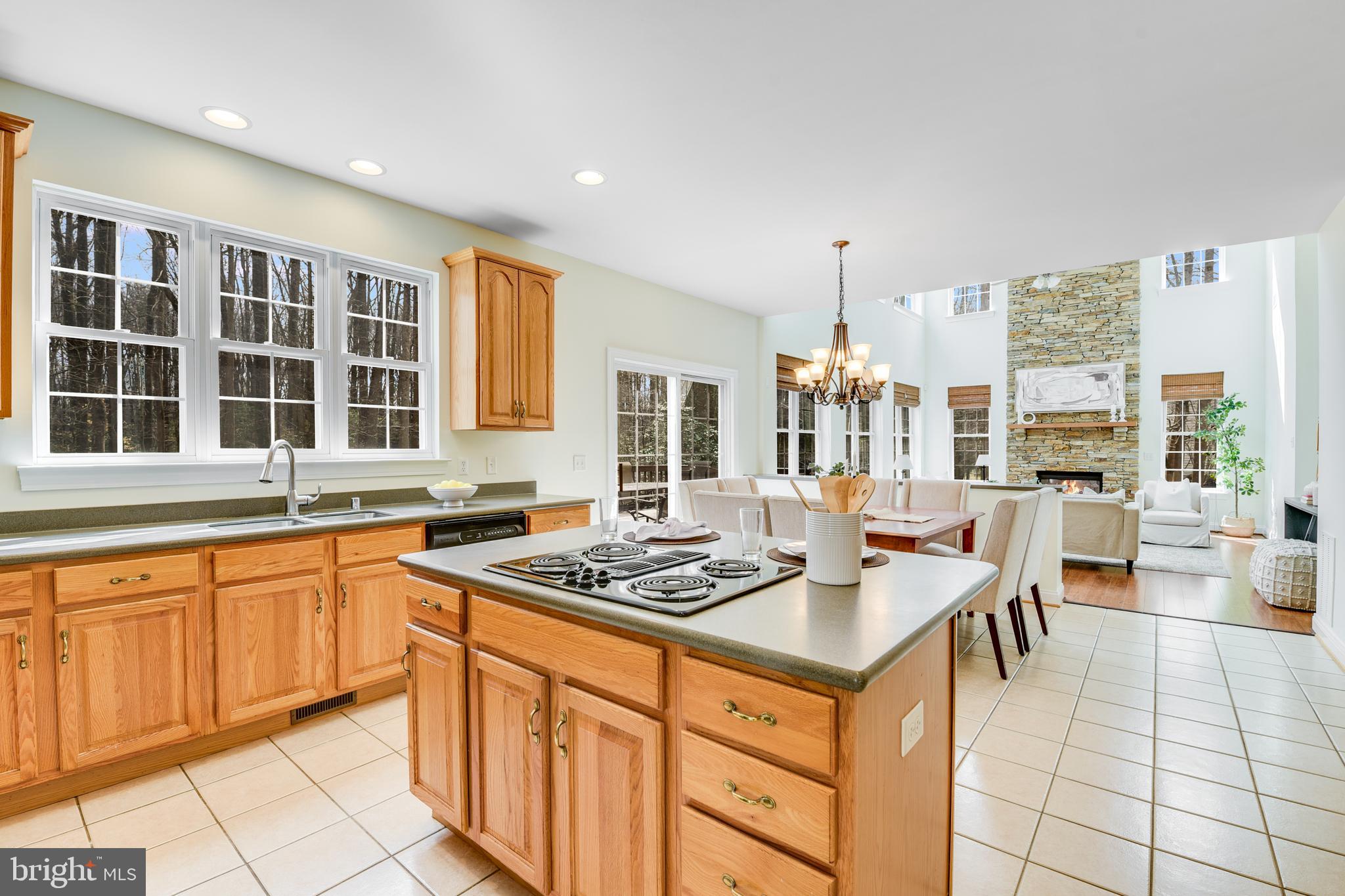 1175 Gum Bottom Road Crownsville, MD 21032 - Photo 14 of 54 cooktop in Island