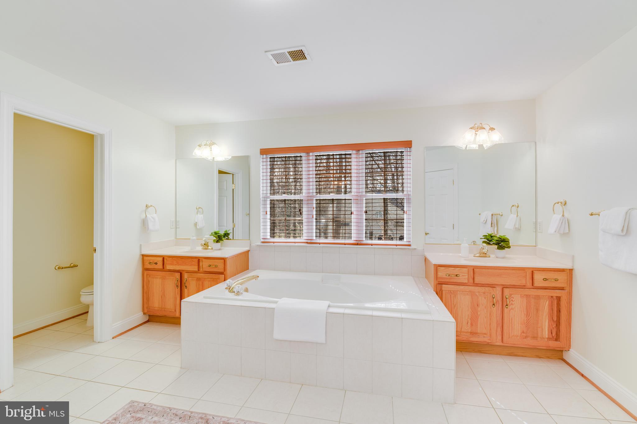 1175 Gum Bottom Road Crownsville, MD 21032 - Photo 26 of 54 Large soaking tub