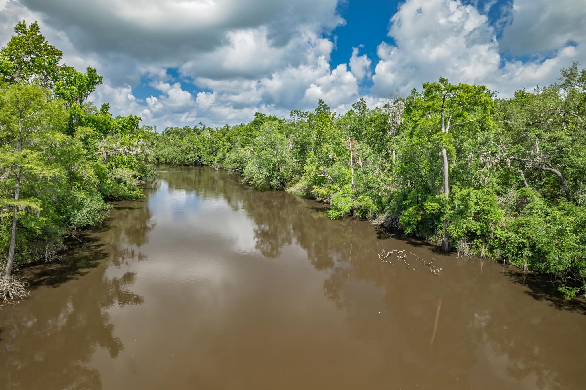 Xxx Northeast Hickory Grove Road Pinetta, FL 32350 - Photo 25 of 32