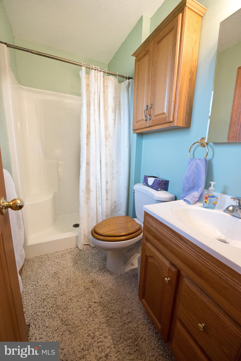 1819 Florence Road Mount Airy, MD 21771 - Photo 19 of 46 Master Bath