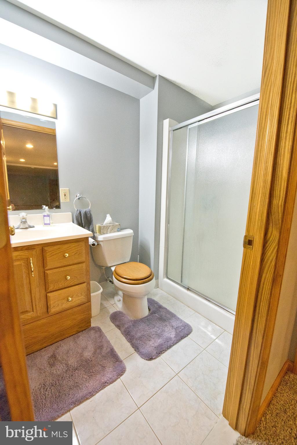 1819 Florence Road Mount Airy, MD 21771 - Photo 39 of 46 Full bath in basement