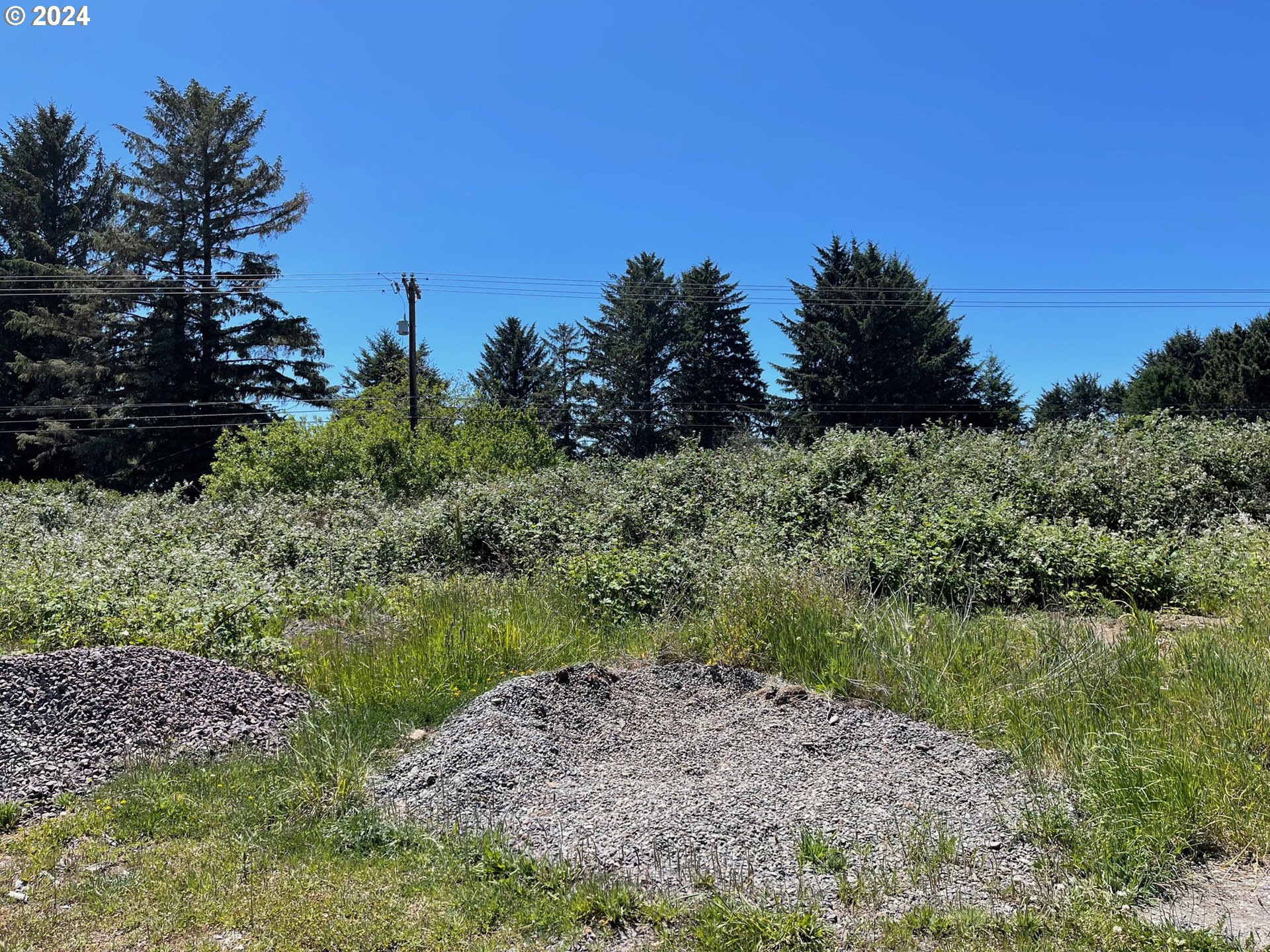 Oceanview Drive Brookings, OR 97415 - Photo 2 of 12 a view of a garden with a lake