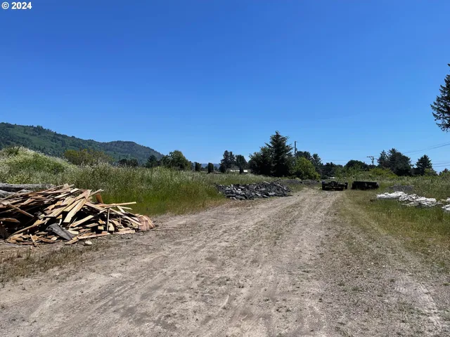 a view of a lake in middle of forest