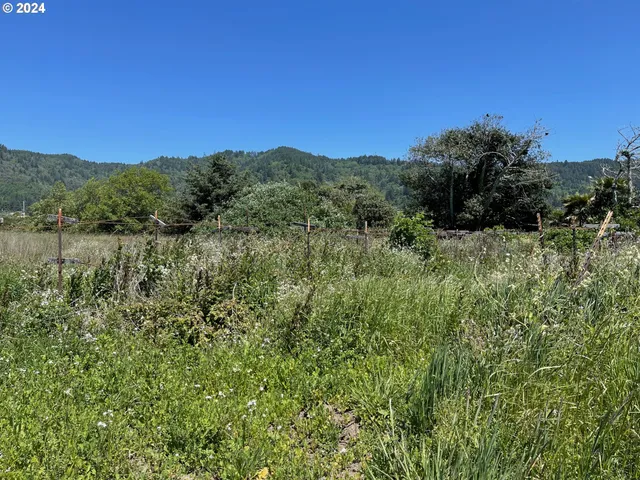 a view of a city with lush green forest