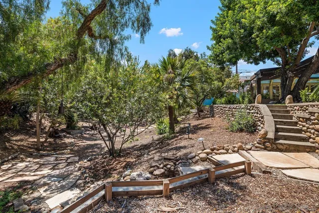 a view of a tree with a tree