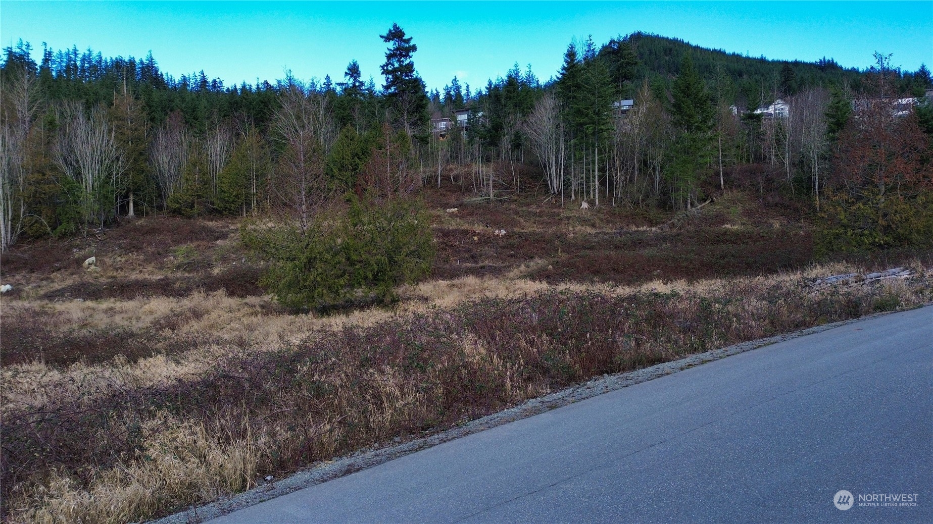 0 Benson Ridge Mount Vernon, WA 98274 - Photo 4 of 20 a view of a yard with green space