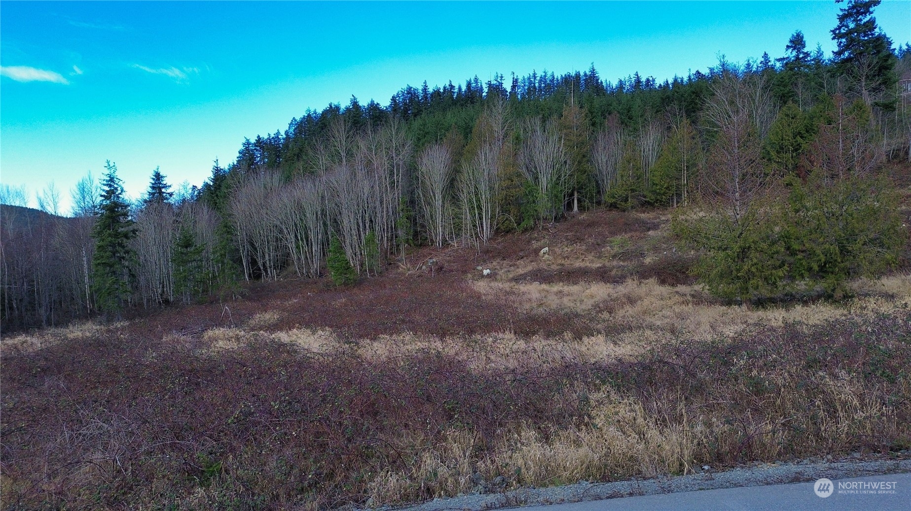 0 Benson Ridge Mount Vernon, WA 98274 - Photo 5 of 20 a view of a yard with a tree