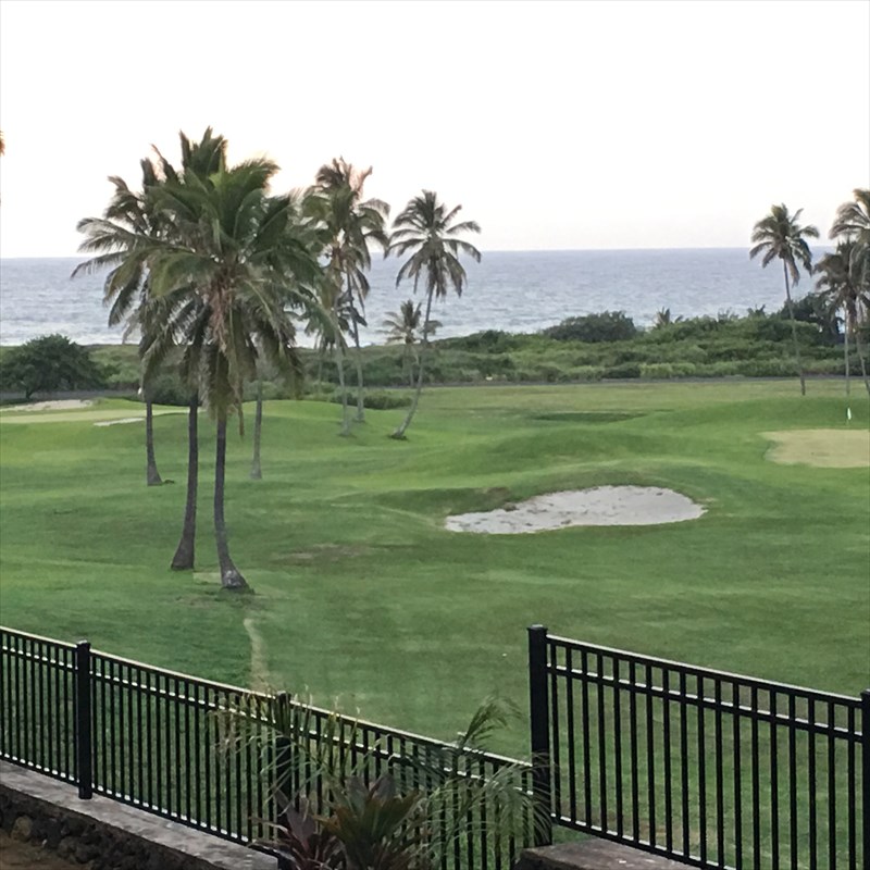 95-789 Ninole Loop Road, Unit 42 Naalehu, HI 96772 - Photo 5 of 17 a view of a garden and lake