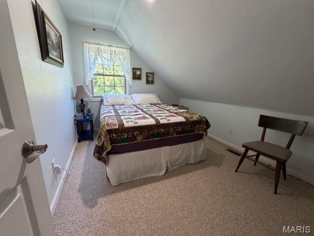 5539 Ripley Route East Doniphan, MO 63935 - Photo 13 of 28