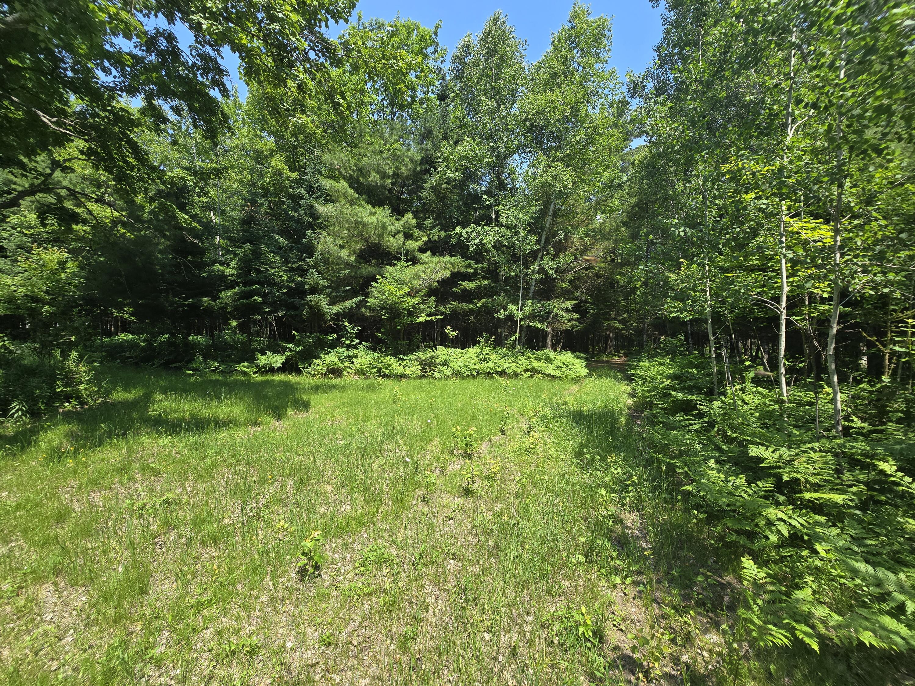 15133 South Kinross Road Kinross, MI 49752 - Photo 87 of 153 20260703_124719