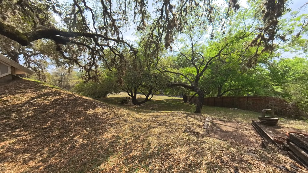 929 Red Bluff Road Pipe Creek, TX 78063 - Photo 23 of 29 a view of a tree in the middle of a yard