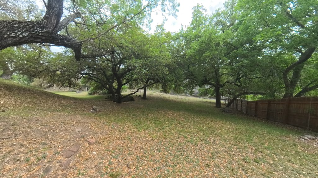 929 Red Bluff Road Pipe Creek, TX 78063 - Photo 24 of 29 a view of a tree next to a yard