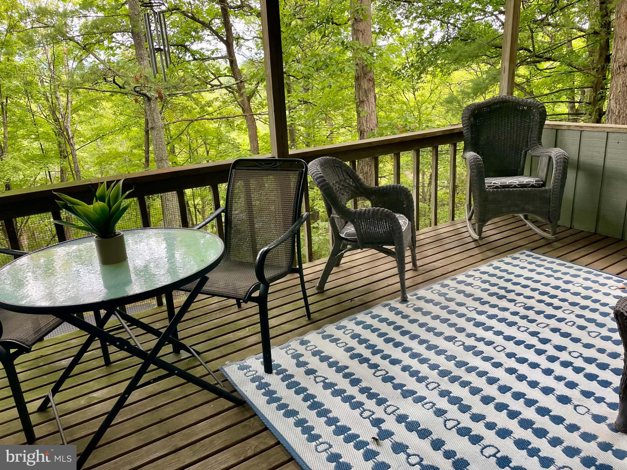 361 The Hill Road Basye, VA 22810 - Photo 3 of 25 Patio