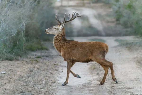 $2,800,000 | 0 Summertime Road, San Isidro, TX 78588