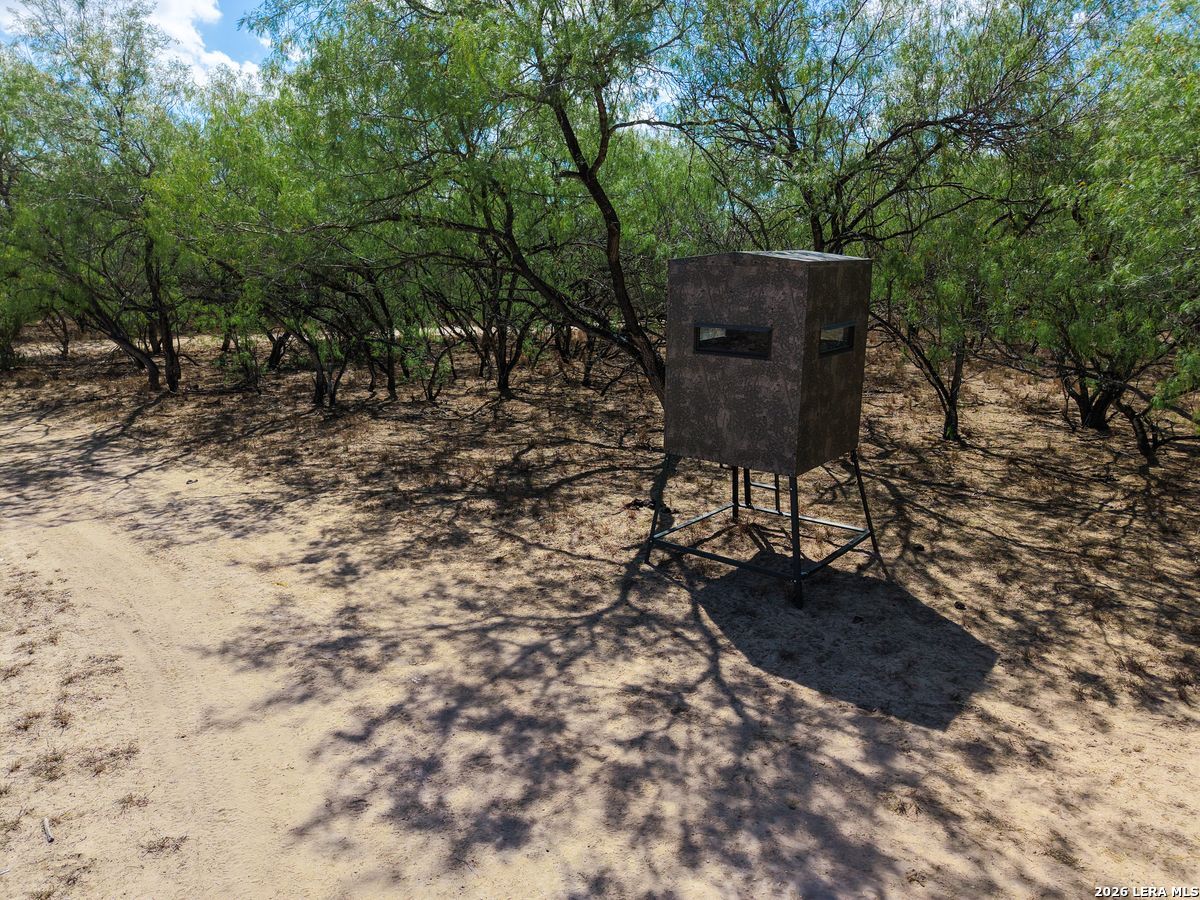 0 Summertime Road San Isidro, TX 78588 - Photo 15 of 57