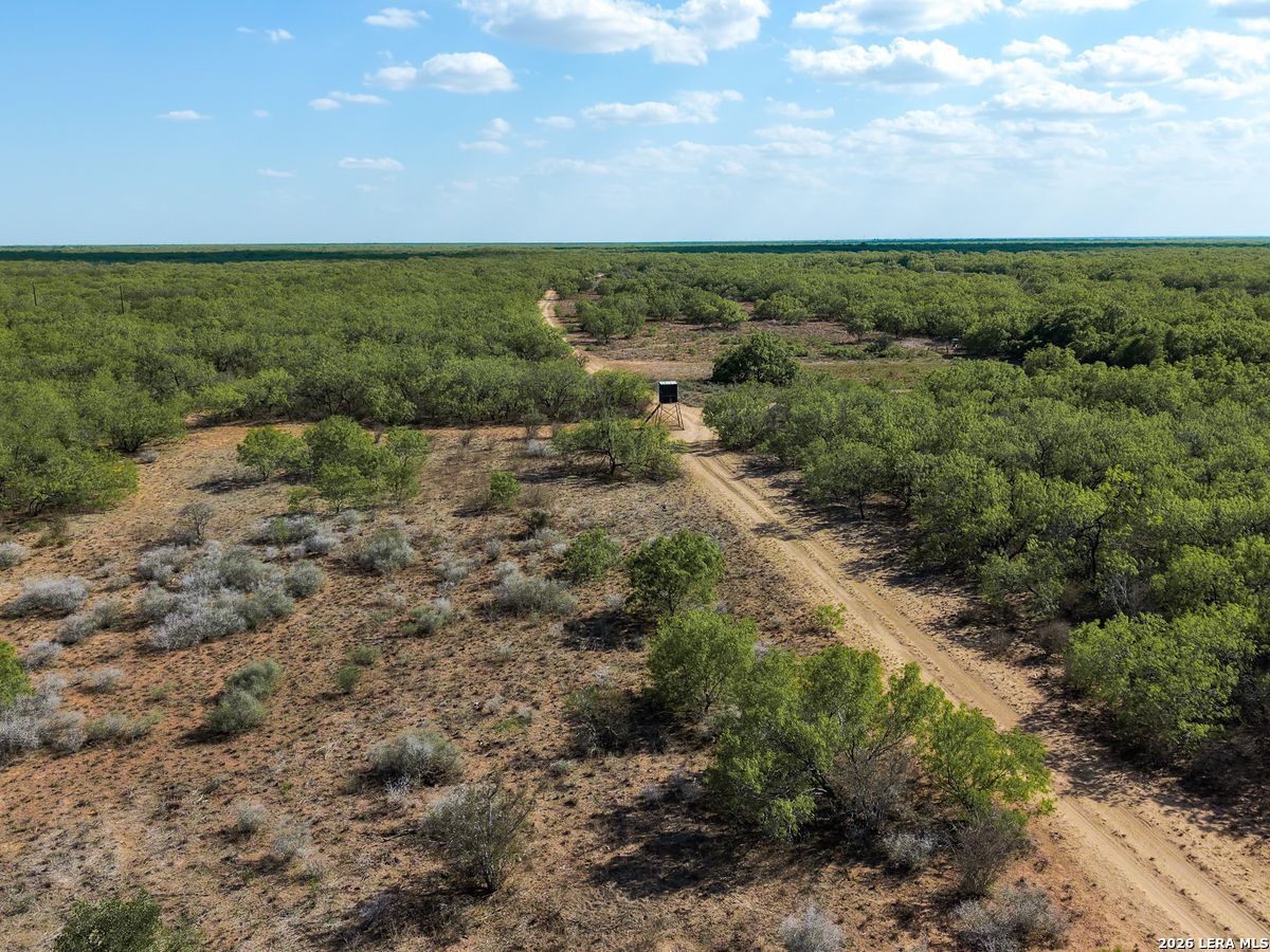 0 Summertime Road San Isidro, TX 78588 - Photo 16 of 57