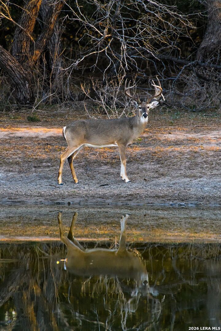 0 Summertime Road San Isidro, TX 78588 - Photo 20 of 57