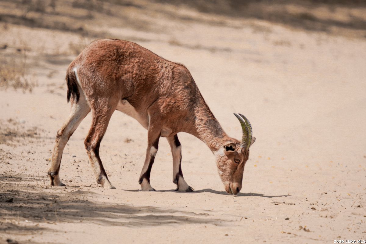 0 Summertime Road San Isidro, TX 78588 - Photo 26 of 57