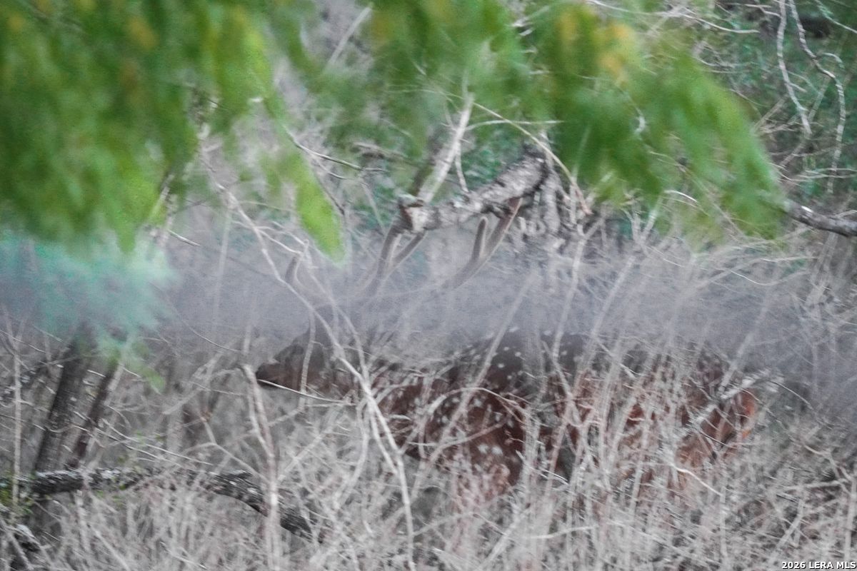 0 Summertime Road San Isidro, TX 78588 - Photo 30 of 57