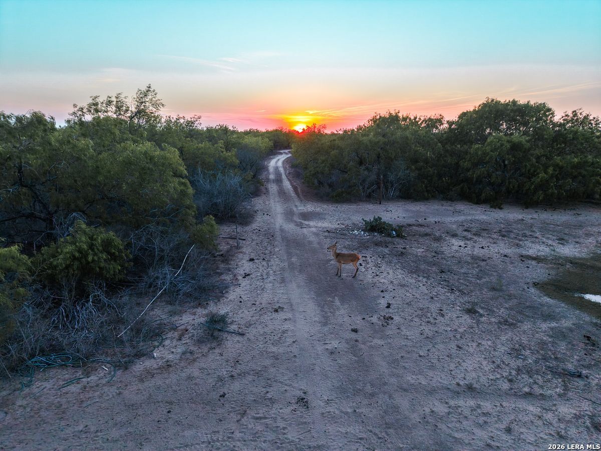 0 Summertime Road San Isidro, TX 78588 - Photo 34 of 57