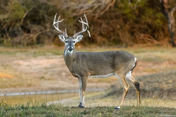 $2,800,000 | 0 Summertime Road, San Isidro, TX 78588