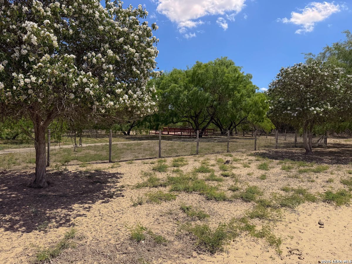 0 Summertime Road San Isidro, TX 78588 - Photo 50 of 57