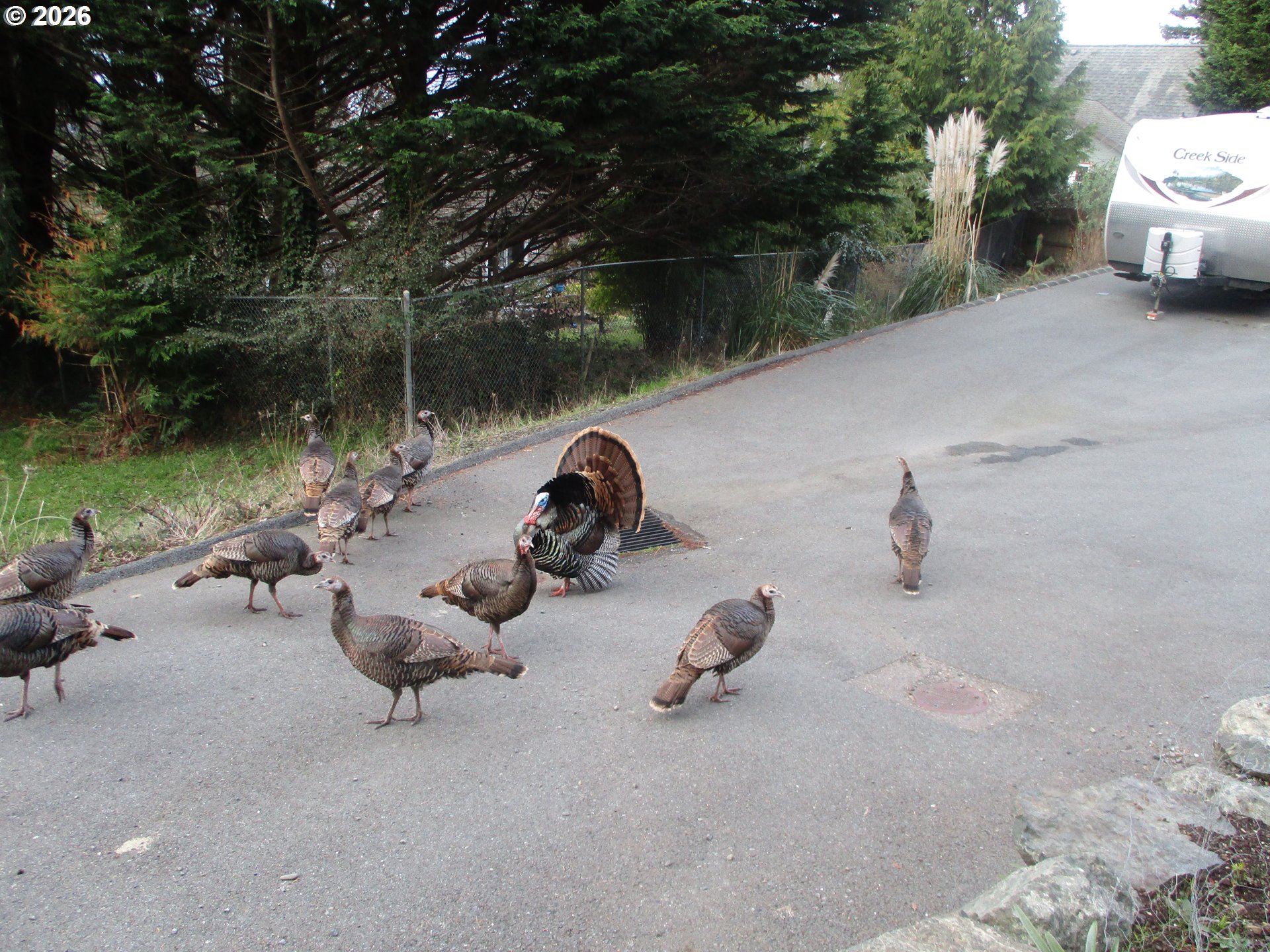 929 Old County Road Brookings, OR 97415 - Photo 10 of 46