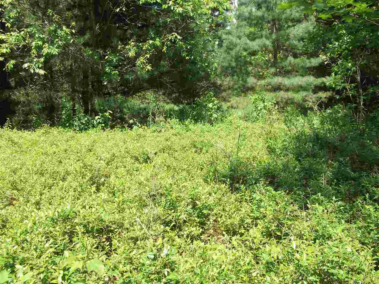 0 South Lachance Road McBain, MI 49657 - Photo 15 of 16 1801234-14.JPG
