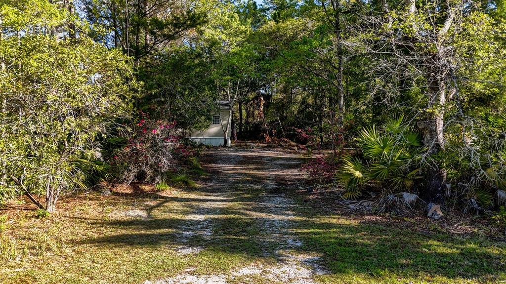 4544 Butternut Avenue Bunnell, FL 32110 - Photo 38 of 42 a view of a yard with large trees