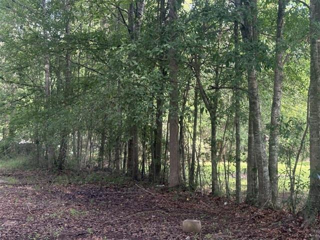 76029 Bob Levy Road Abita Springs, LA 70420 - Photo 17 of 22