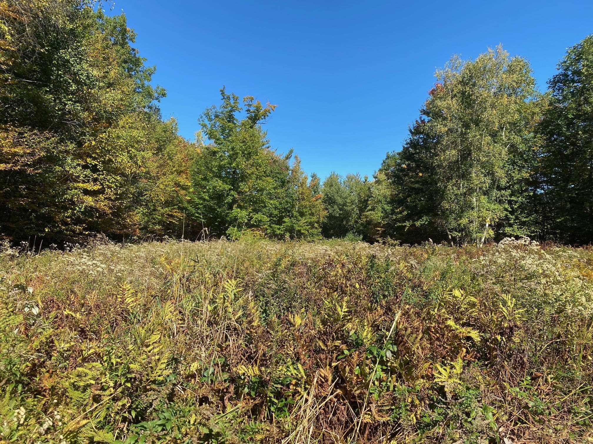 0 West Meadow Road Newbury, NH 03255 - Photo 7 of 12