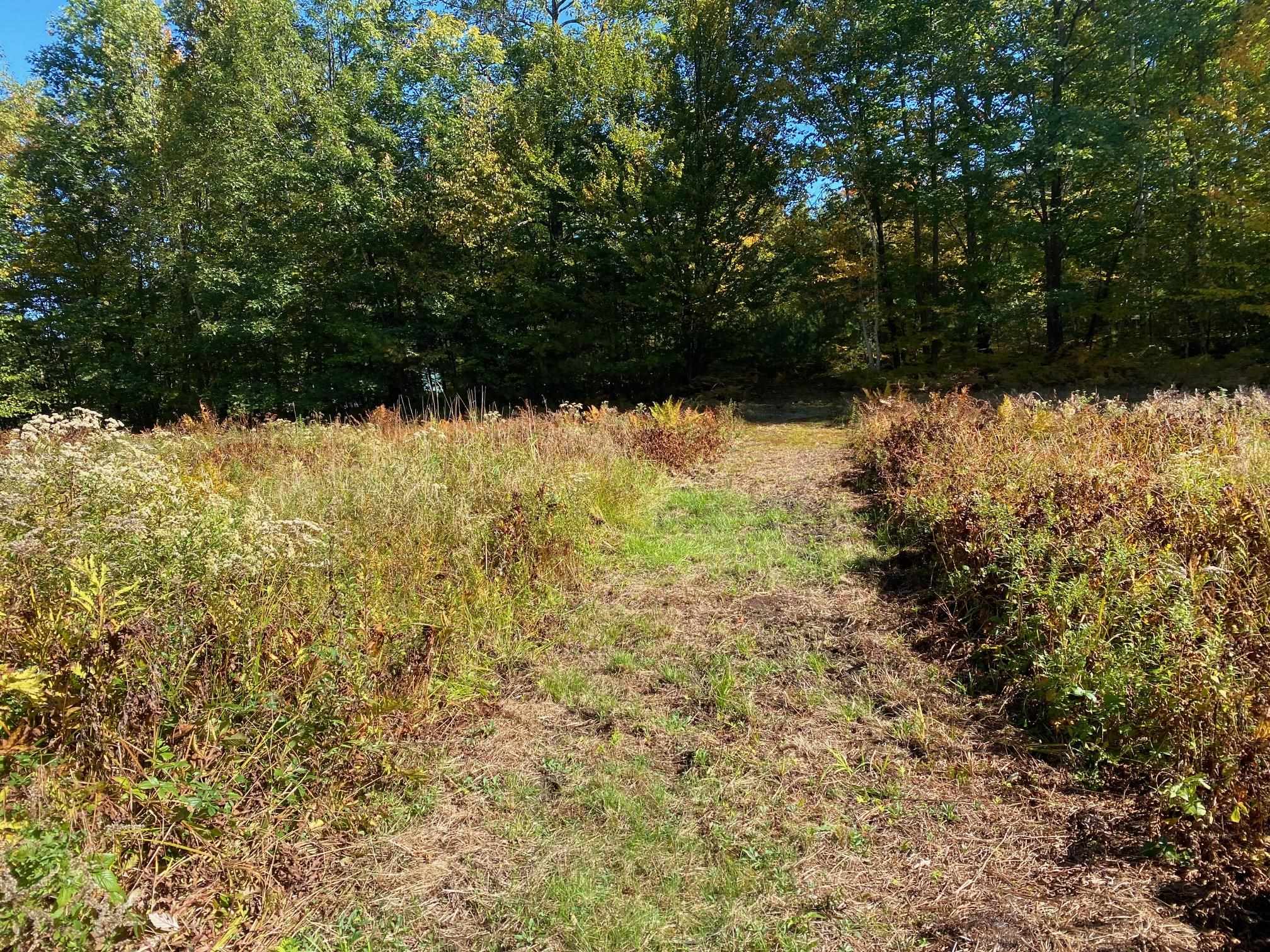 0 West Meadow Road Newbury, NH 03255 - Photo 8 of 12