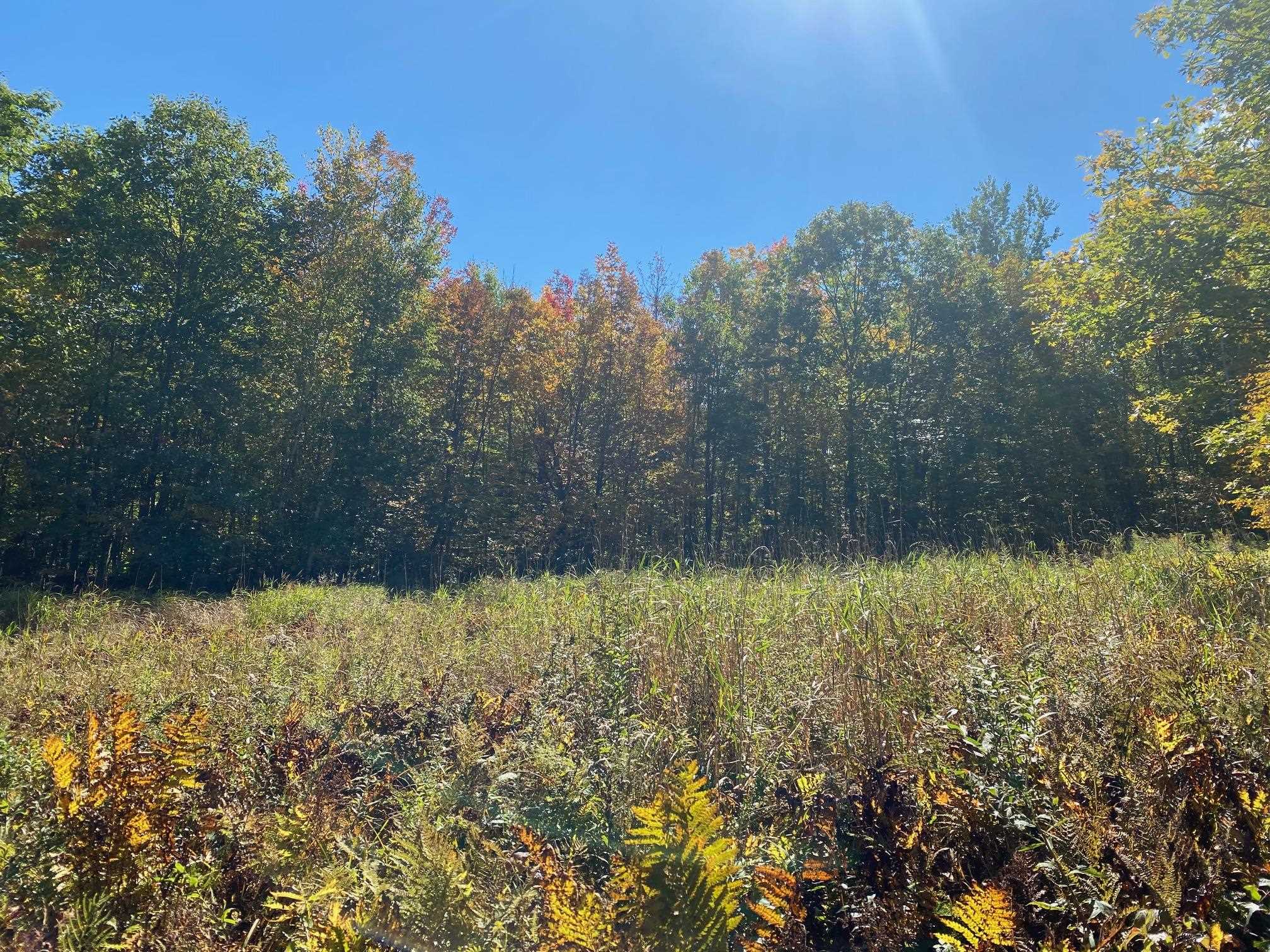 0 West Meadow Road Newbury, NH 03255 - Photo 10 of 12