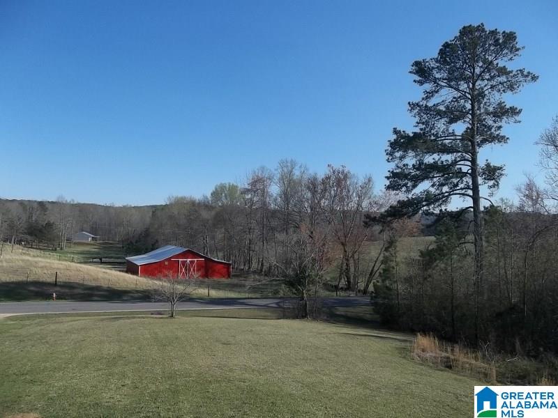 2792 County Road 3 Delta, AL 36258 - Photo 4 of 18