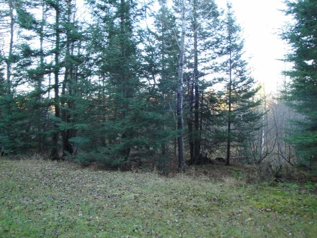 29-acres Spafford Road Rhinelander, WI 54501 - Photo 10 of 13 Gallery Image 10