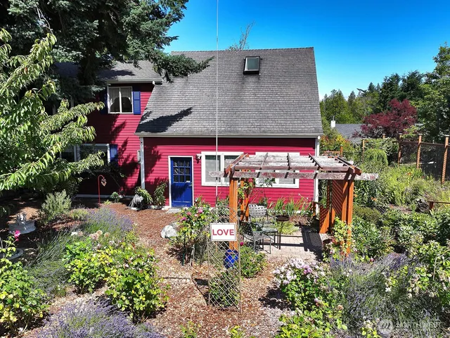 a picture of flowers