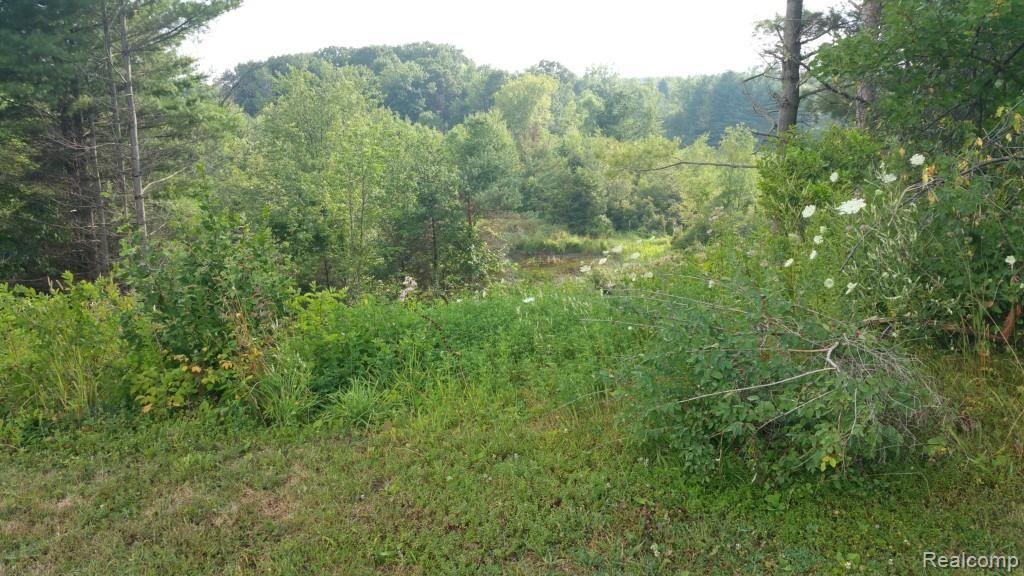 2929 Barnes Road Millington, MI 48746 - Photo 19 of 33 20150729_183717.jpg