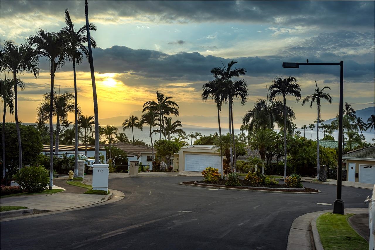 164 West Ikea Moku Place Kihei, HI 96753 - Photo 46 of 49 a view of a street with palm trees
