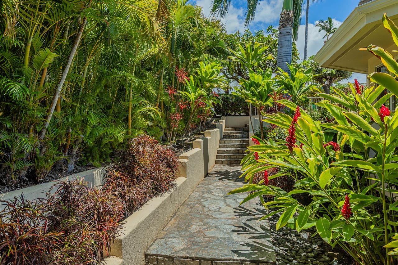 164 West Ikea Moku Place Kihei, HI 96753 - Photo 48 of 49 a backyard of a house with lots of green space