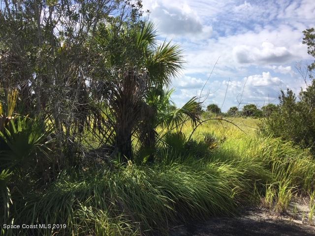 2150 Wabowen Road Palm Bay, FL 32908 - Photo 1 of 2 Street View