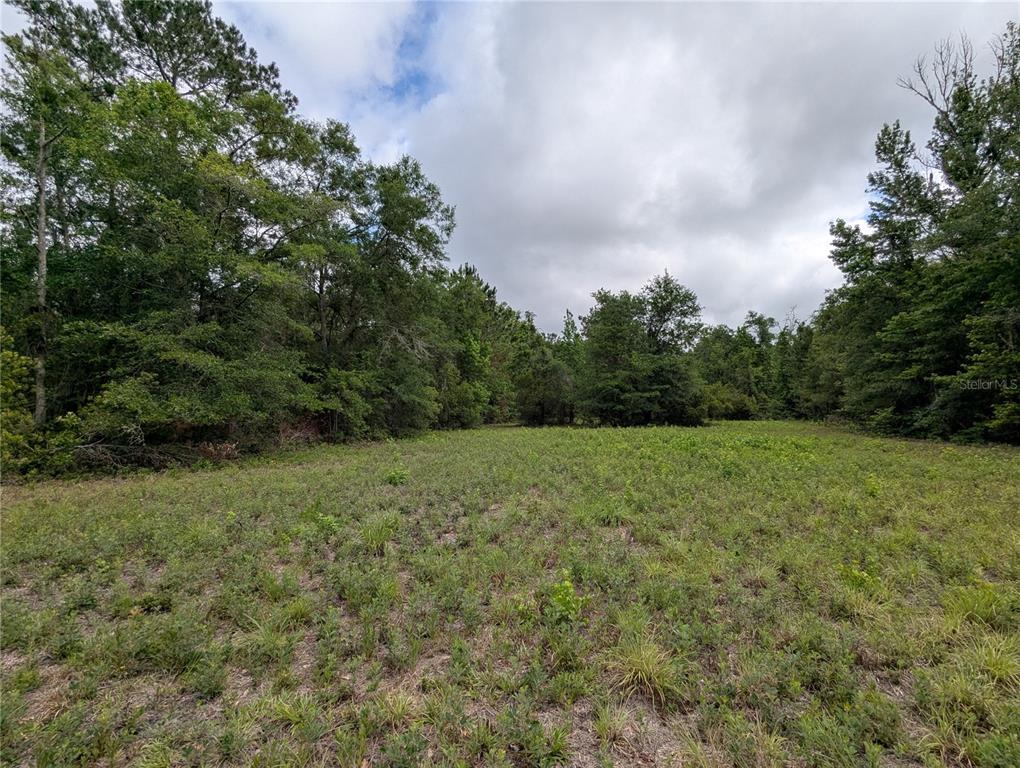 91st Street Alachua, FL 32615 - Photo 26 of 36 a view of an outdoor space with a lake view