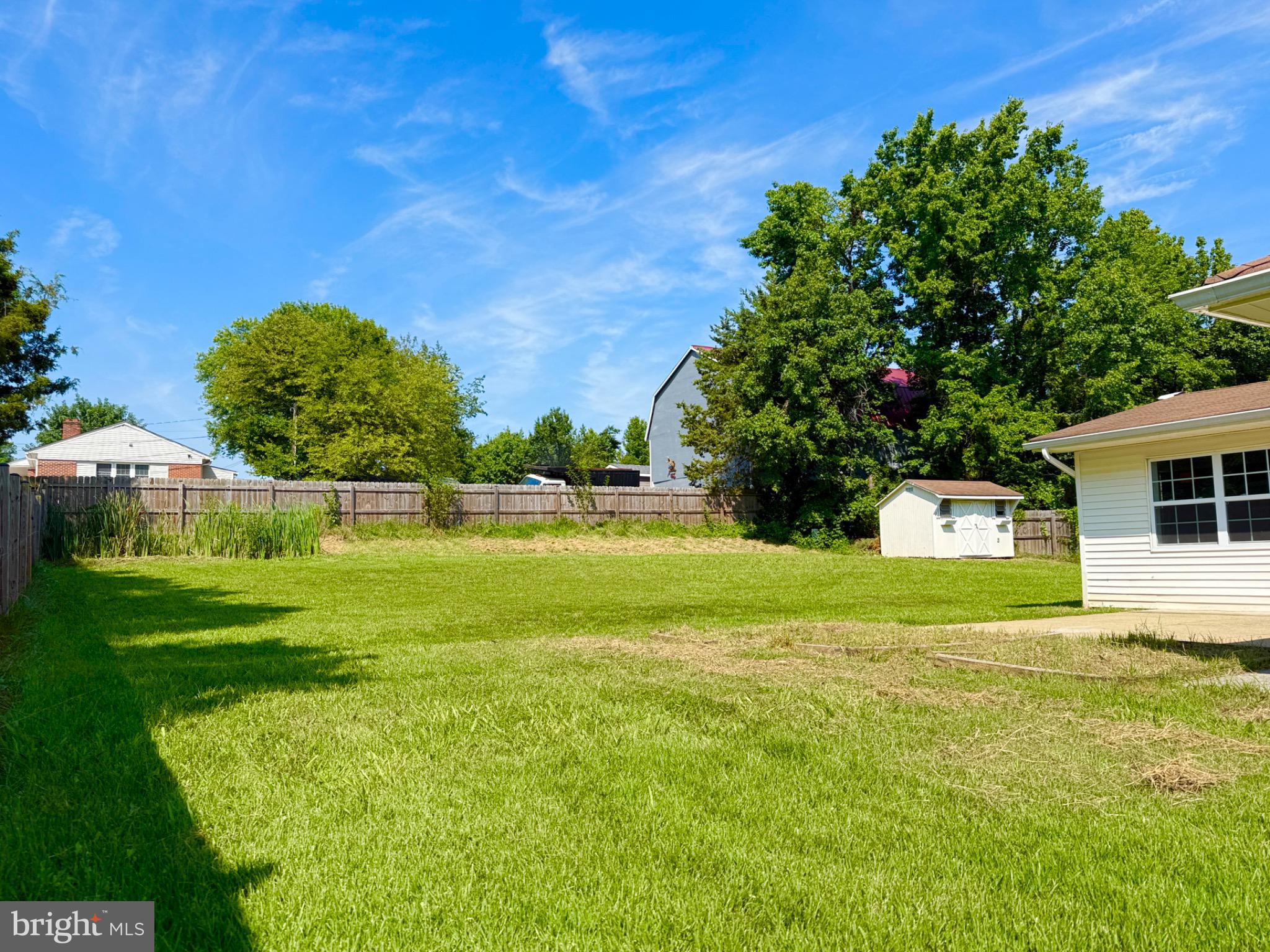 Spacious green yard under a bright blue sky.